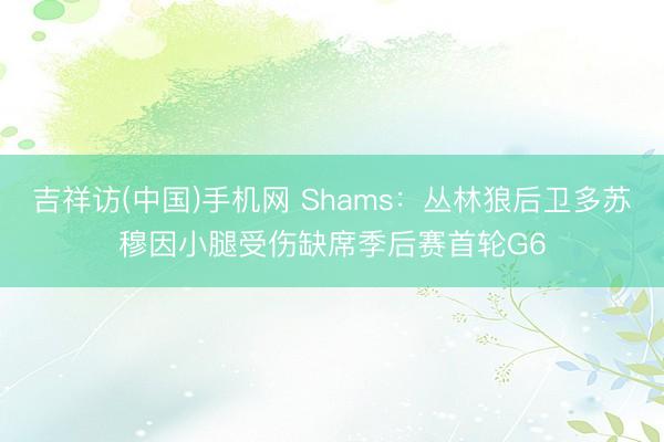 吉祥访(中国)手机网 Shams：丛林狼后卫多苏穆因小腿受伤缺席季后赛首轮G6