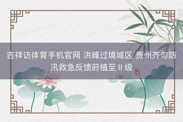吉祥访体育手机官网 洪峰过境城区 贵州齐匀防汛救急反馈莳植至Ⅱ级