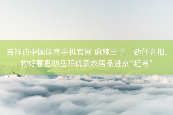 吉祥访中国体育手机官网 麻辣王子、劲仔亮相，物好意思助岳阳优质农居品进京“赶考”
