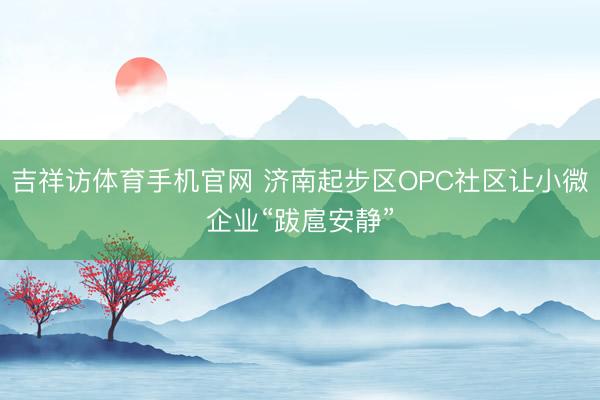 吉祥访体育手机官网 济南起步区OPC社区让小微企业“跋扈安静”