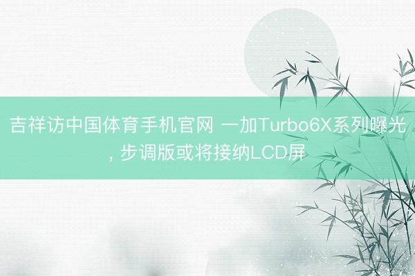 吉祥访中国体育手机官网 一加Turbo6X系列曝光， 步调版或将接纳LCD屏
