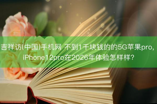 吉祥访(中国)手机网 不到1千块钱的的5G苹果pro， iPhone12pro在2026年体验怎样样?