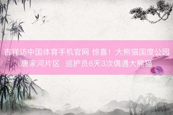吉祥访中国体育手机官网 惊喜！大熊猫国度公园唐家河片区  巡护员6天3次偶遇大熊猫