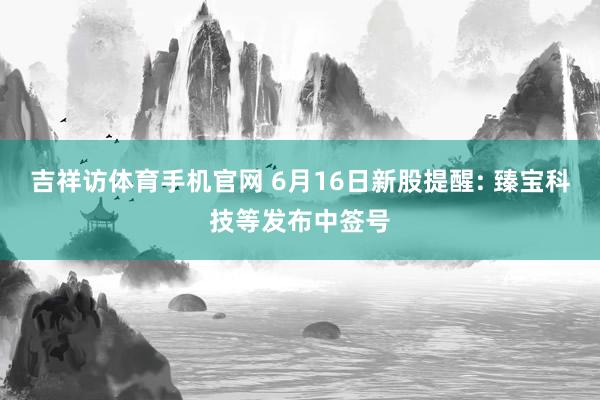 吉祥访体育手机官网 6月16日新股提醒: 臻宝科技等发布中签号